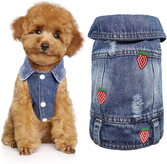 CKCY Pet Clothes Dog Jacket Vest Puppy Jeans Jacket Denim Jumpsuit Lapel Vests Hooded Hoodie for Small Medium Dogs Classic Blue One Piece Jacket Pet Cat Costume Apparel(Strawberry, X-Small) Animals & Pet Supplies > Pet Supplies > Dog Supplies > Dog Apparel CKCY Strawberry X-Small 