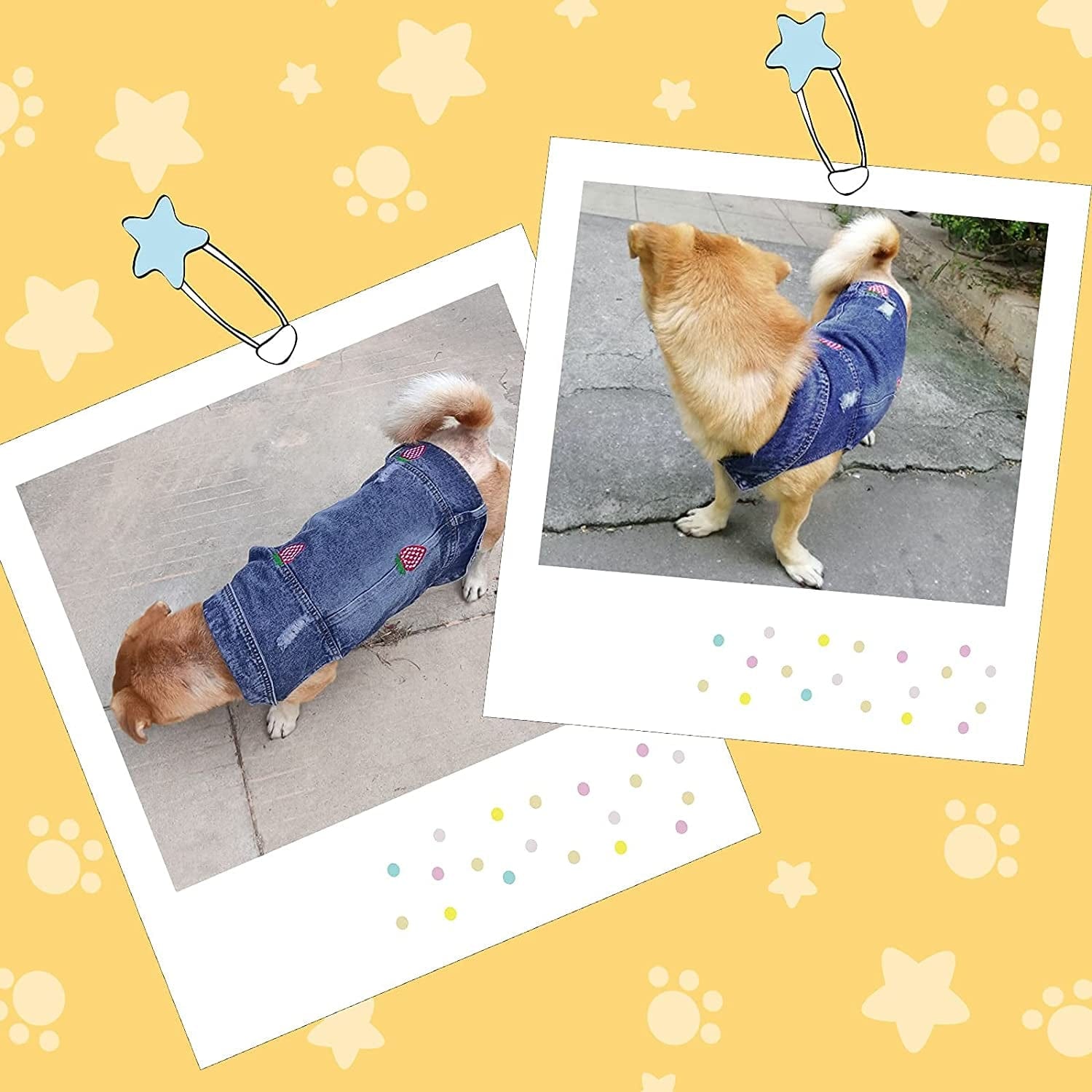 CKCY Pet Clothes Dog Jacket Vest Puppy Jeans Jacket Denim Jumpsuit Lapel Vests Hooded Hoodie for Small Medium Dogs Classic Blue One Piece Jacket Pet Cat Costume Apparel(Strawberry, X-Small) Animals & Pet Supplies > Pet Supplies > Dog Supplies > Dog Apparel CKCY   