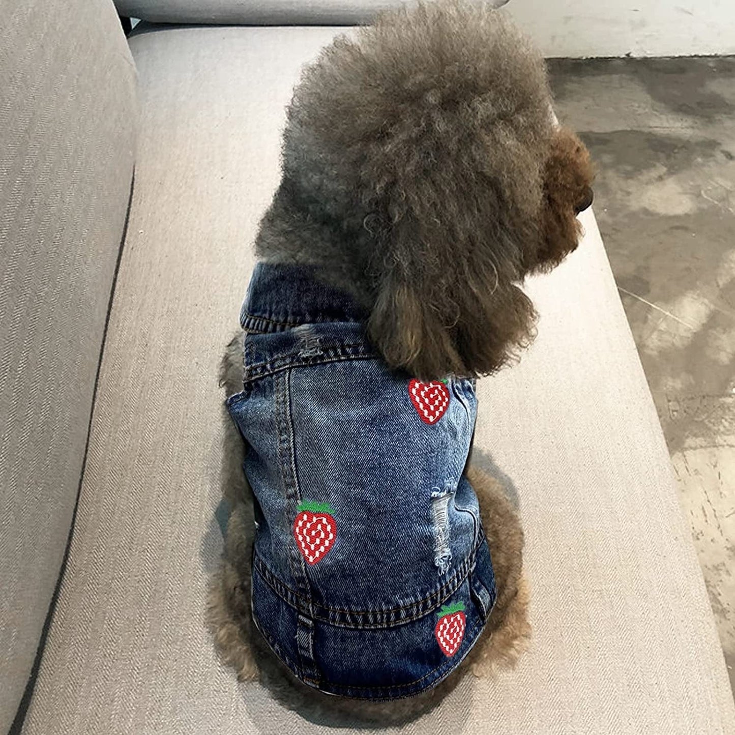 CKCY Pet Clothes Dog Jacket Vest Puppy Jeans Jacket Denim Jumpsuit Lapel Vests Hooded Hoodie for Small Medium Dogs Classic Blue One Piece Jacket Pet Cat Costume Apparel(Strawberry, X-Small) Animals & Pet Supplies > Pet Supplies > Dog Supplies > Dog Apparel CKCY   