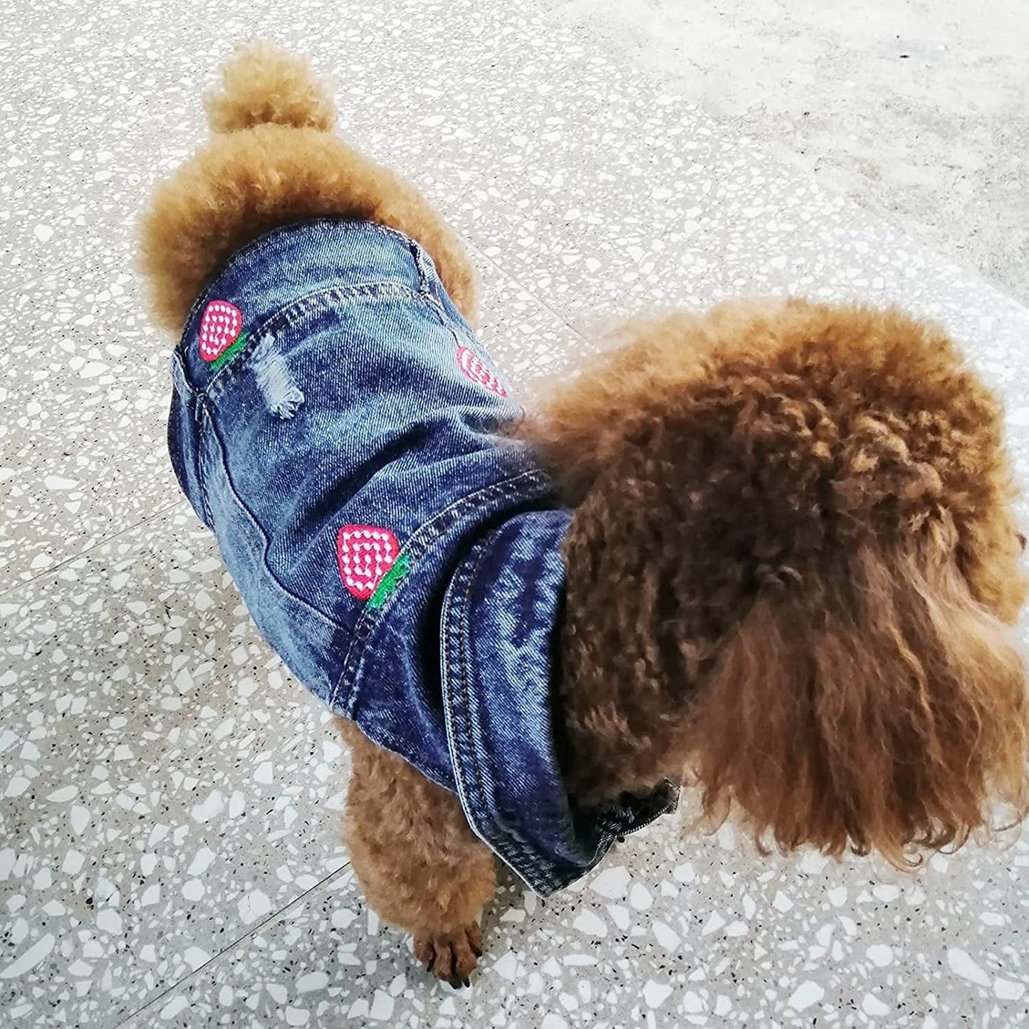 CKCY Pet Clothes Dog Jacket Vest Puppy Jeans Jacket Denim Jumpsuit Lapel Vests Hooded Hoodie for Small Medium Dogs Classic Blue One Piece Jacket Pet Cat Costume Apparel(Strawberry, X-Small) Animals & Pet Supplies > Pet Supplies > Dog Supplies > Dog Apparel CKCY   