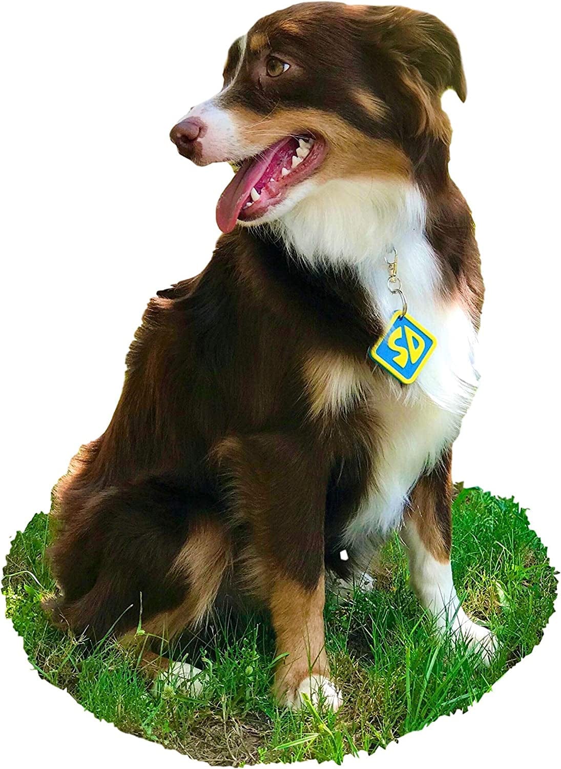 Border Collie Halloween Costumes Gifts & Merchandise for Sale