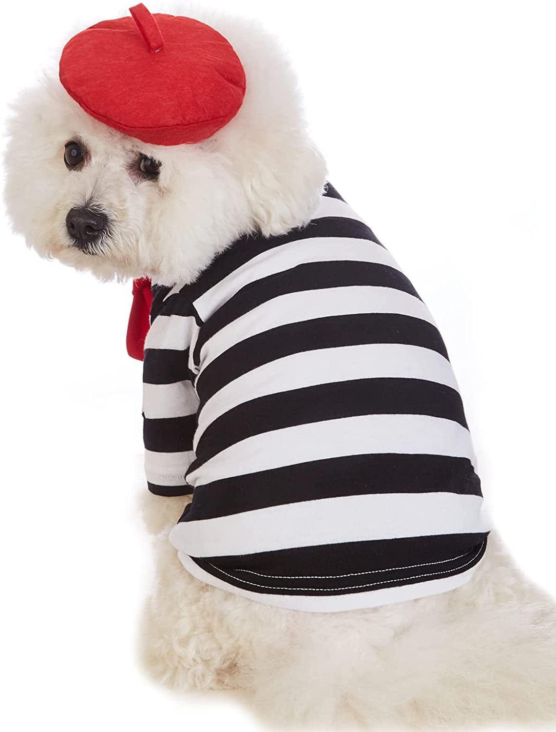 Coomour Artist Dog Costume with Funny Hat Painter Pet Clothes for Small Dog Shirts Puppy Summer T-Shirt (XL) Animals & Pet Supplies > Pet Supplies > Dog Supplies > Dog Apparel Coomour   