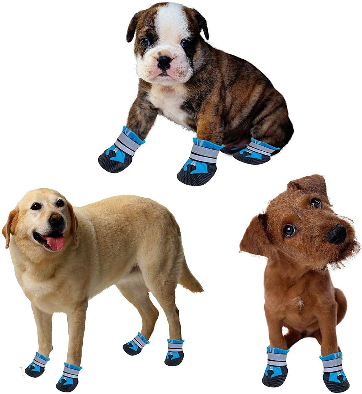 COSHAYSOO 4PCS Dog Boots Waterproof, Dog Shoes with Reflective Straps, Rugged Anti-Slip Sole and Skid-Proof Outdoor Paw Protectors for Small Medium Large Dogs (Blue, M) Animals & Pet Supplies > Pet Supplies > Dog Supplies > Dog Apparel COSHAYSOO   