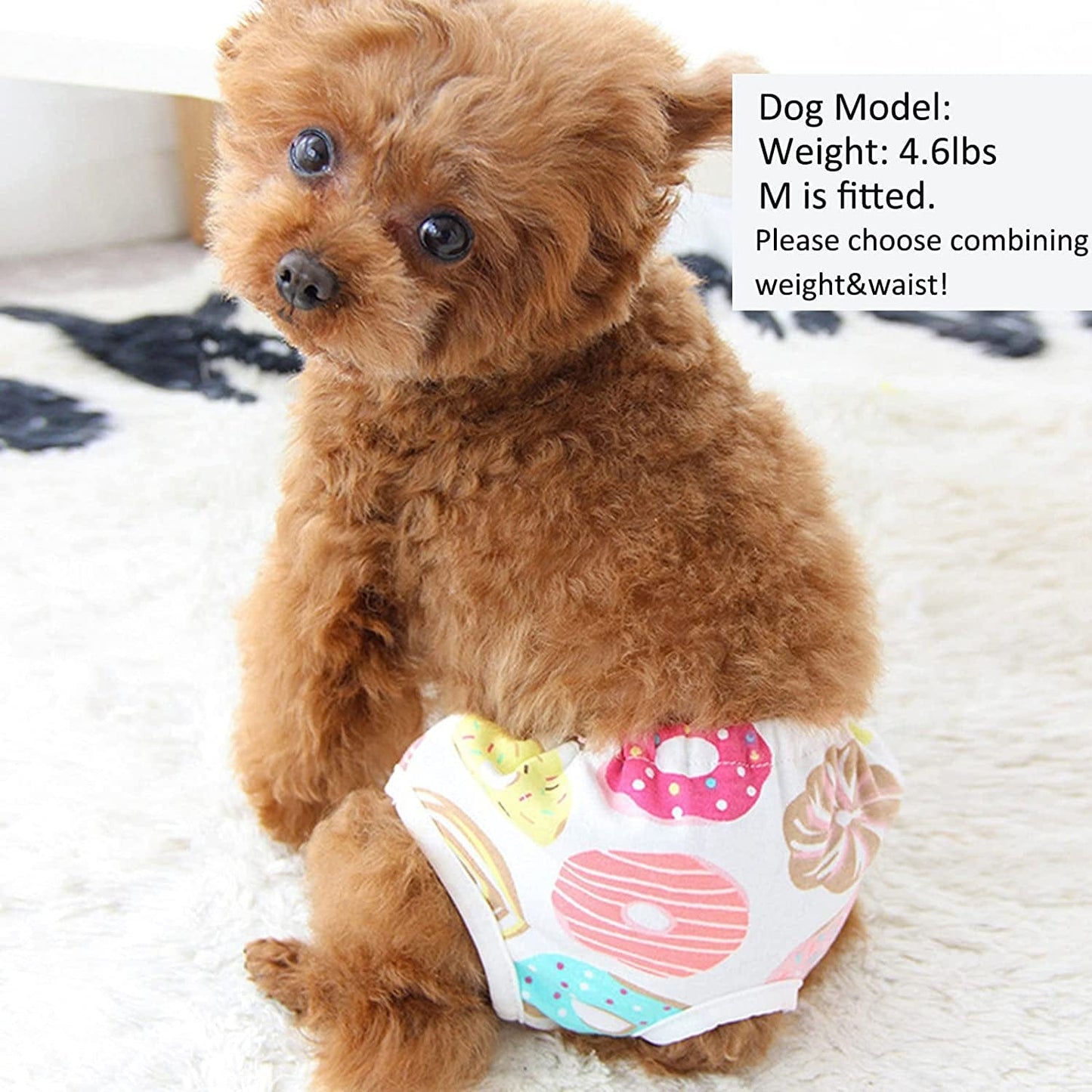 shenmeida Dog Sanitary Menstrual Panties Female, Puppy Diapers with Elastic  Strap Washable, Doggie Underwear Physiological Pants Shorts, Reusable Pet
