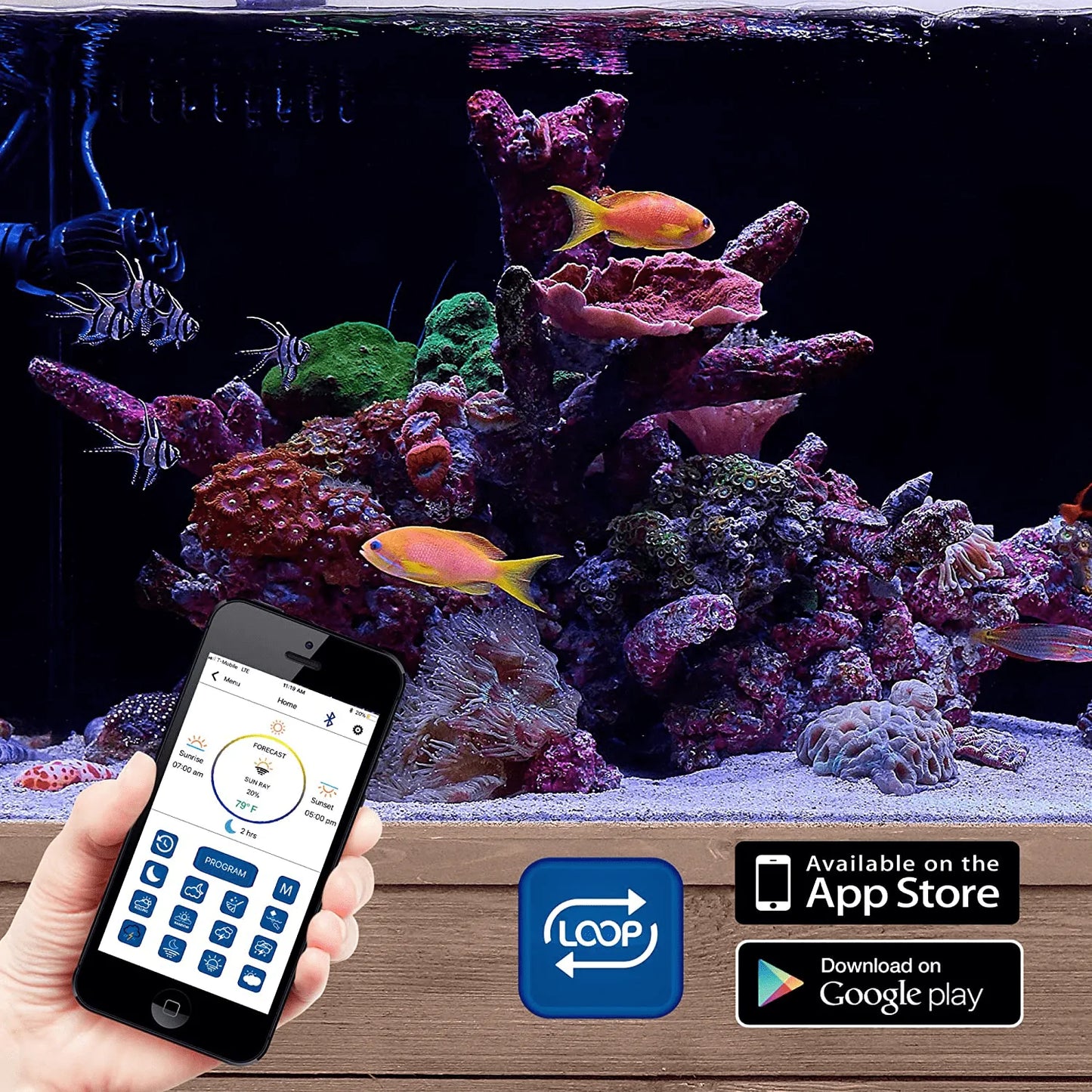 CURRENT USA Orbit Marine IC PRO Dual LED Reef Aquarium Light | Wireless Light and Pump Controller | Loop App - Bluetooth