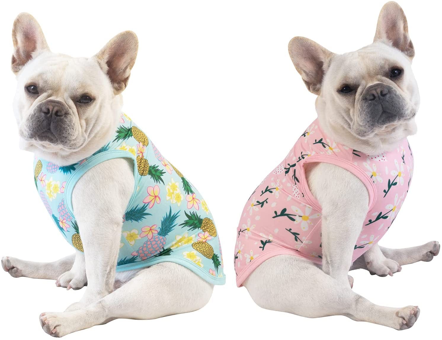 Cutebone St. Patrick'S and Easter Day Dog Shirts 2-Pack Soft Pet Clothes Breathable Summer Vest for Small Puppy and Stretchy Cat Apparel 2BX12XS Animals & Pet Supplies > Pet Supplies > Dog Supplies > Dog Apparel CuteBone Flowers&pineapple Large 