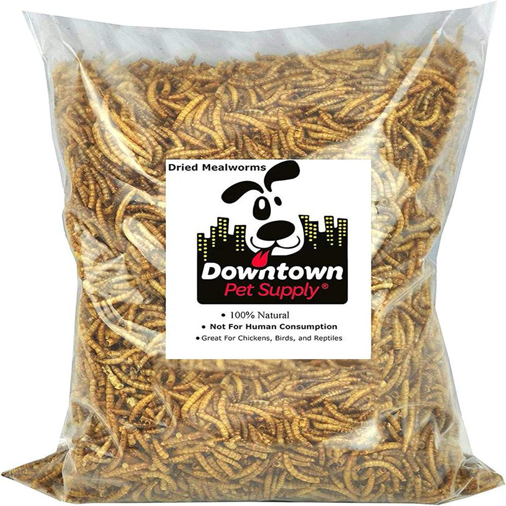 Downtown Pet Suppl Mealworms - Rich in Vitamin B12, B5, Protein, Fibre and Omega 3 Fatty Acids - Chicken, Duck and Bird Food - Reptile and Turtle Foo Animals & Pet Supplies > Pet Supplies > Bird Supplies > Bird Treats Downtown Pet Supply 0.5 lbs  
