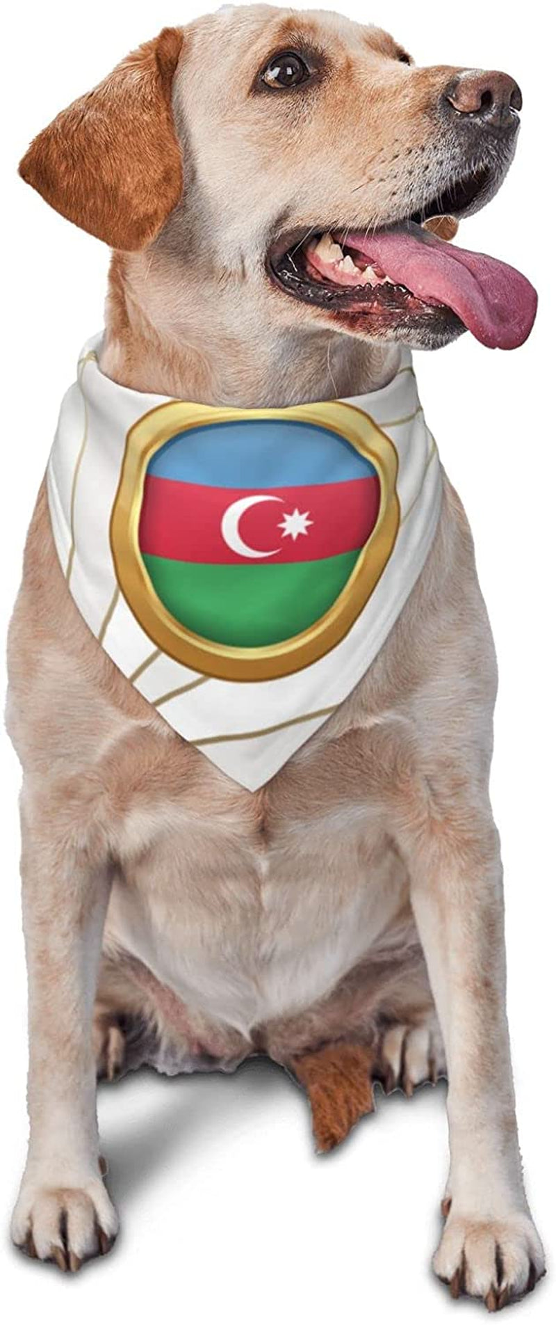 Golden Disc Azerbaijan Flag Pet Dog and Cat Decorative Triangle Scarf,Dog Bandana,Breathable and Stain Resistant. Animals & Pet Supplies > Pet Supplies > Dog Supplies > Dog Apparel ZALTAS   