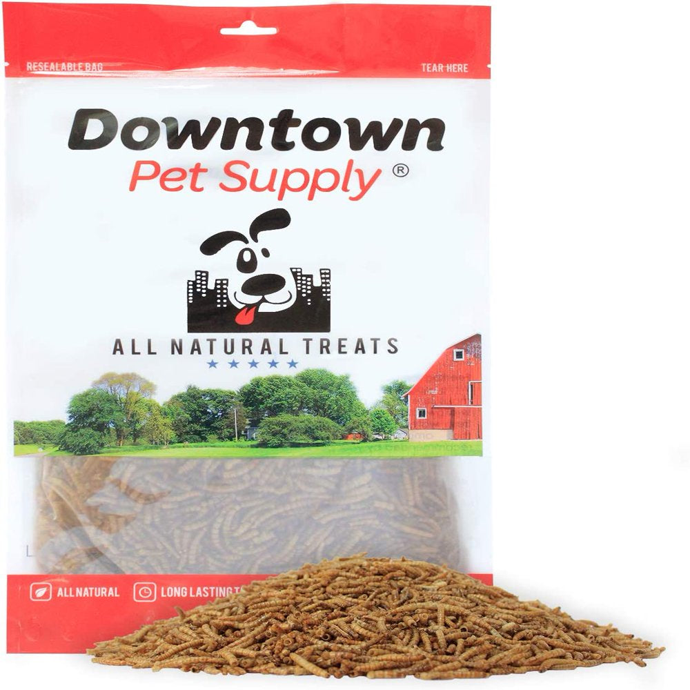 Downtown Pet Suppl Mealworms - Rich in Vitamin B12, B5, Protein, Fibre and Omega 3 Fatty Acids - Chicken, Duck and Bird Food - Reptile and Turtle Foo Animals & Pet Supplies > Pet Supplies > Bird Supplies > Bird Treats Downtown Pet Supply   