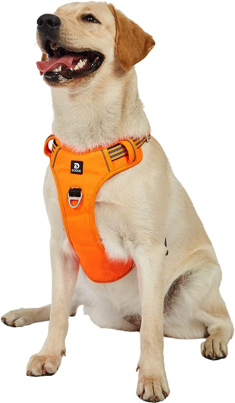 Dog Harness for Large Dogs No Pull with Handle 2 Metal Leash Clips, Adjustable Reflective Puppy Harness, Breathable Camo Oxford Padded Vest Easy Control Front Clip for Medium Large Dogs Animals & Pet Supplies > Pet Supplies > Dog Supplies > Dog Apparel Dociote Orange Medium (Pack of 1) 