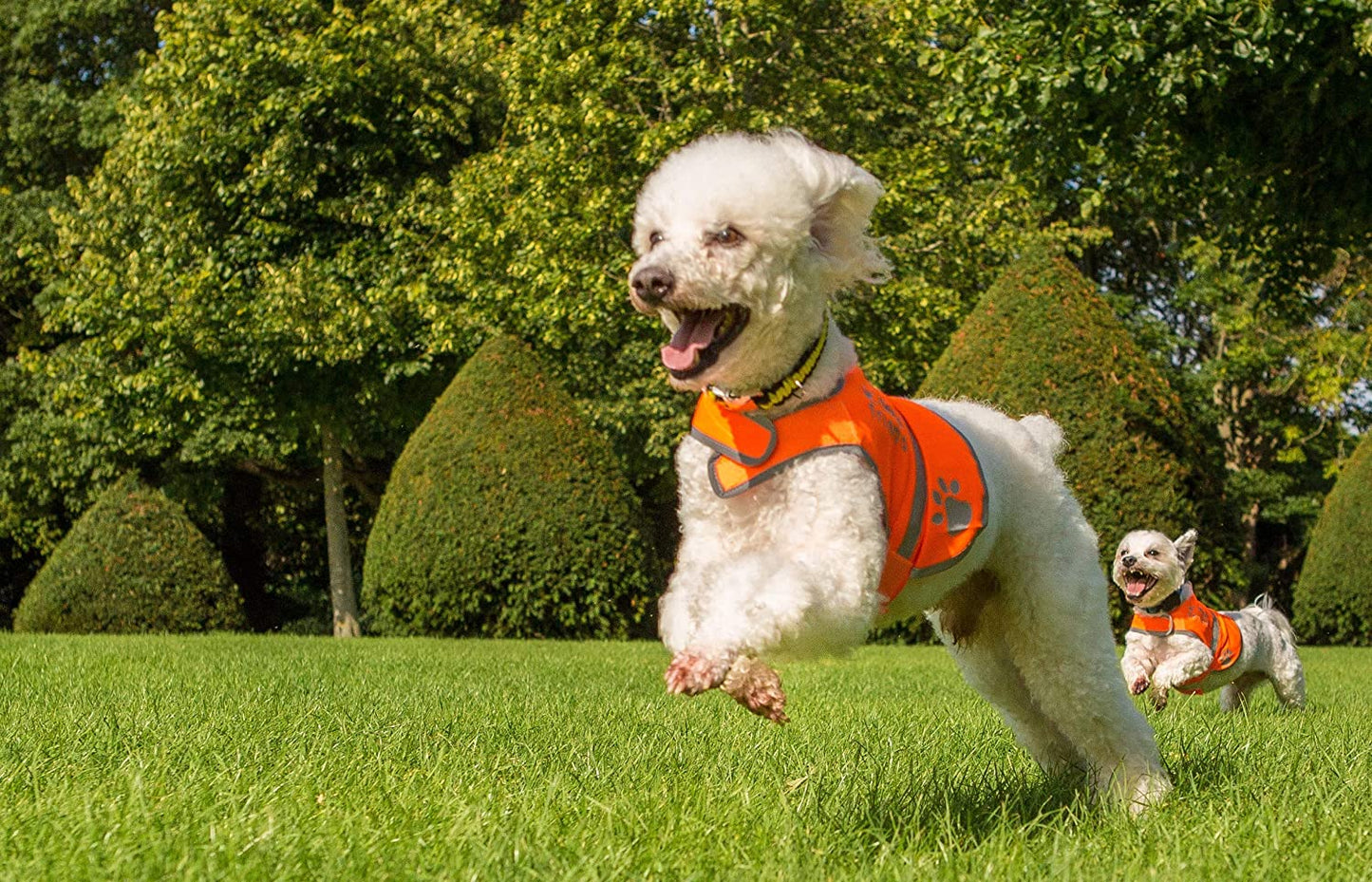 4Legsfriend Dog Safety Orange Reflective Vest with Leash Hole 5 Sizes - High Visibility for Outdoor Activity Day and Night, Keep Your Dog Visible, Safe from Cars & Hunting Accidents Animals & Pet Supplies > Pet Supplies > Dog Supplies > Dog Apparel 4LegsFriend   