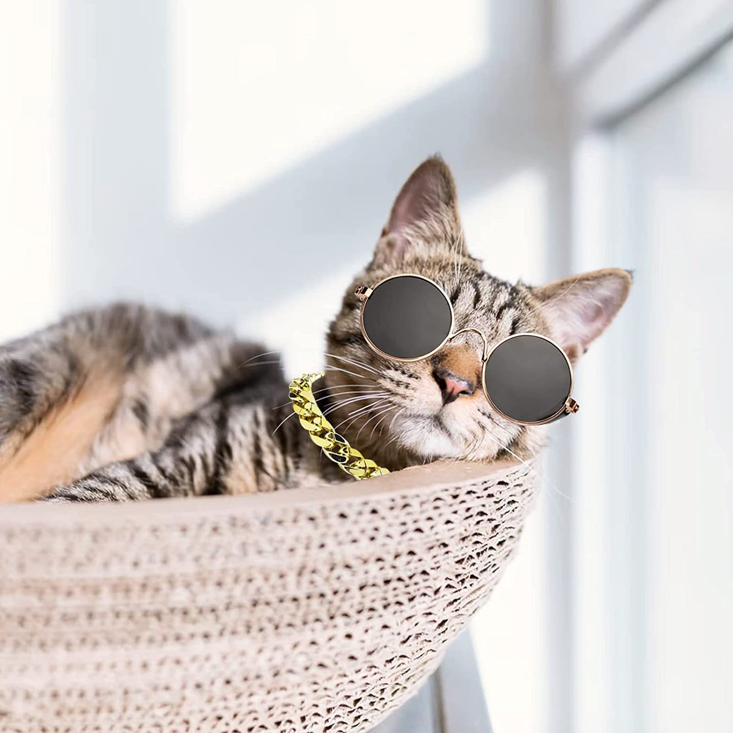 6PCS Pet Dog Cat Costume, Retro Pet Sunglasses, Adjustable Gold Chain Collar & Summer Straw Hat, Funny Pet Accessories for Cat Puppy Small Medium Dog Birthday Cosplay Party Animals & Pet Supplies > Pet Supplies > Dog Supplies > Dog Apparel Gaprumi   