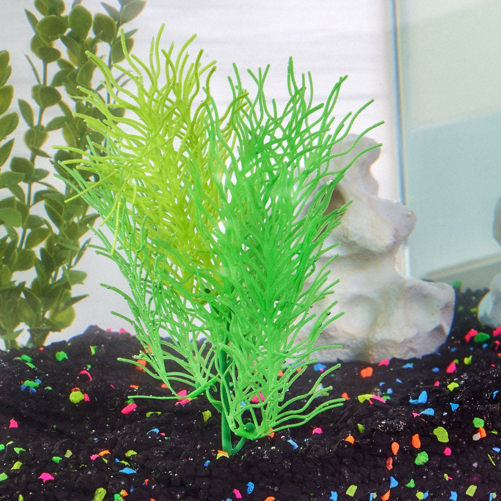 Aqua Culture Wavy Fern Aquarium Plant, Green Animals & Pet Supplies > Pet Supplies > Fish Supplies > Aquarium Decor Wal-Mart Stores, Inc.   