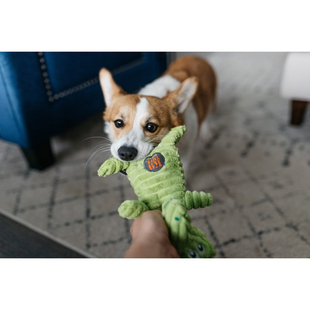 Charming Pet Squeakin' Squiggles Gator Dog Toy, Green, One-Size Animals & Pet Supplies > Pet Supplies > Dog Supplies > Dog Toys Outward Hound Holdings   