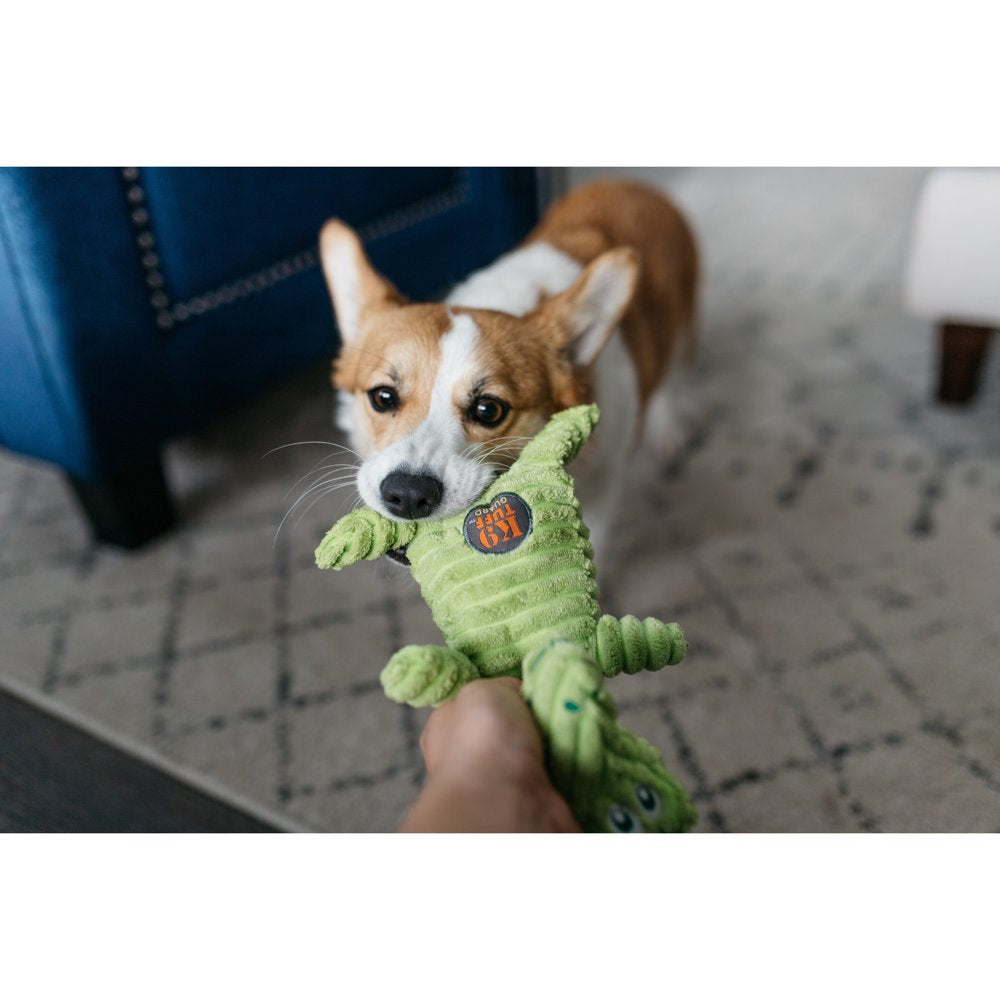 Charming Pet Squeakin' Squiggles Gator Dog Toy, Green, One-Size