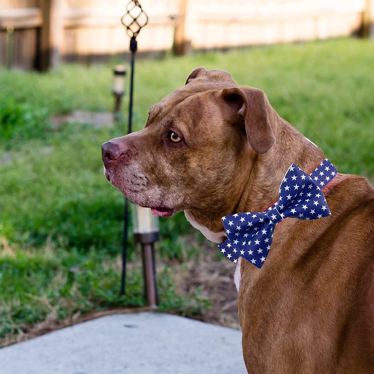 Wondrella American Flag Dog Collar, Cute Bowtie Dog Collars with Metal Buckle, Blue Pet Collar Bow Tie for Meduim Dogs Animals & Pet Supplies > Pet Supplies > Dog Supplies > Dog Apparel Wondrella   