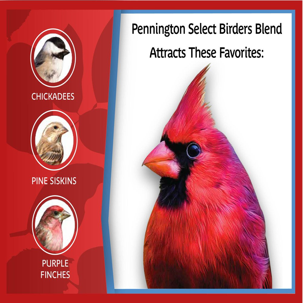 Pennington Select Birder'S Blend, Wild Bird Seed and Feed, 50 Lb. Bag Animals & Pet Supplies > Pet Supplies > Bird Supplies > Bird Food CENTRAL GARDEN & PET COMPANY   