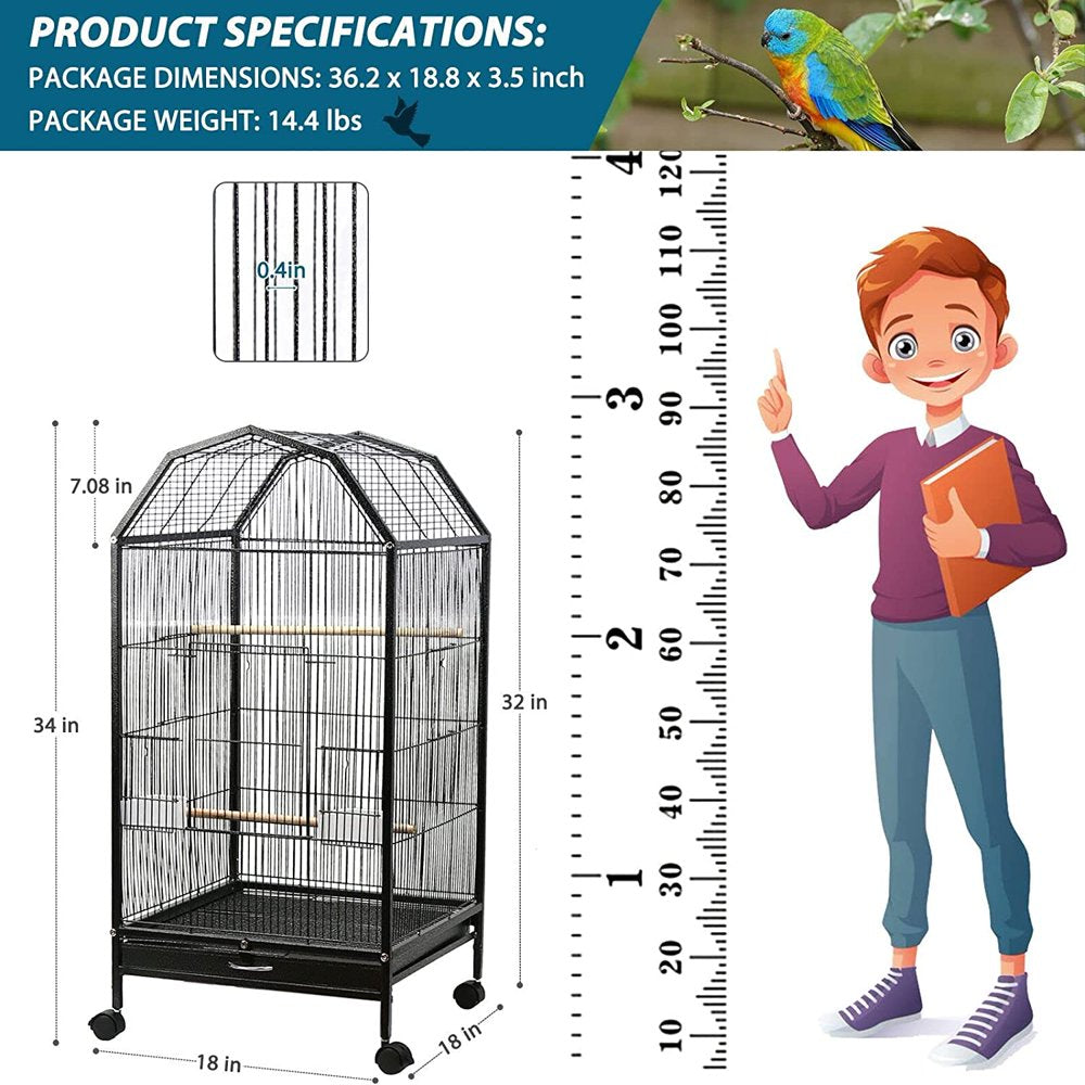 ENKERN Parakeet Bird Cage with Stand Metal Pet Bird Flight Cages Large Finch Bird Cage for Conure Canary Parekette Macaw Finch Cockatoo Budgie Cockatiels Parrot Pet Animals & Pet Supplies > Pet Supplies > Bird Supplies > Bird Cages & Stands ENKERN   