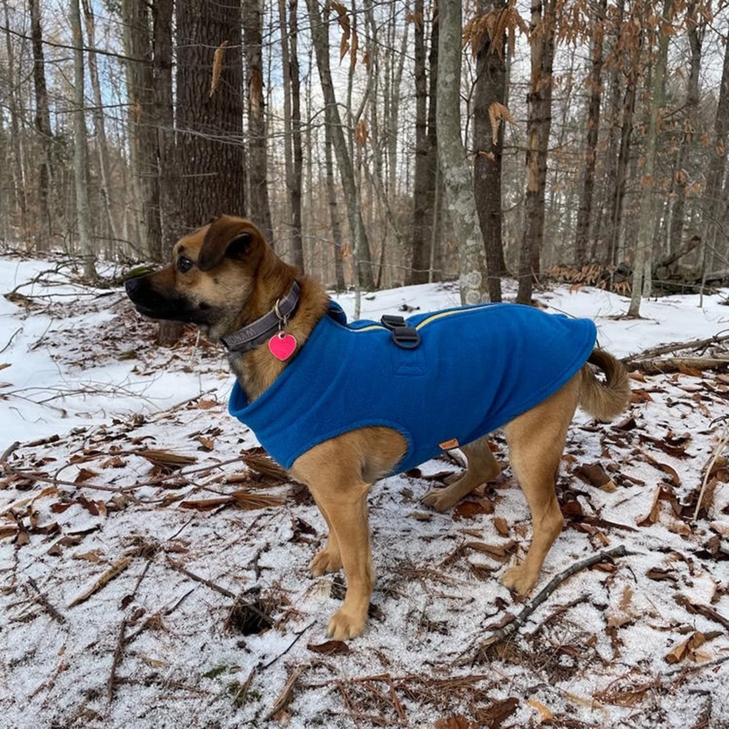 Gooby Zip up Fleece Dog Sweater - Blue, Medium - Warm Pullover Fleece Step-In Dog Jacket with Dual D Ring Leash - Winter Small Dog Sweater - Dog Clothes for Small Dogs Boy and Medium Dogs Animals & Pet Supplies > Pet Supplies > Dog Supplies > Dog Apparel Inafiction USA   