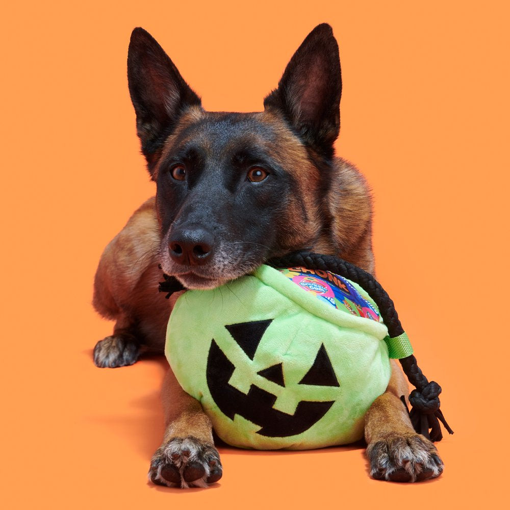 BARK Tricks & Treats Halloween Doggy Bag Dog Toy, Made with T-Shirt Rope, for All Sized Dogs Animals & Pet Supplies > Pet Supplies > Dog Supplies > Dog Toys BARK   