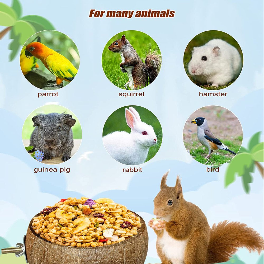 Deoxygene Small Animals Coconut Shell Feeder,Rabbit Feeding Bowls Bird Coconut Breeding Nest House Hut Cage Bed for Rabbit Animals & Pet Supplies > Pet Supplies > Small Animal Supplies > Small Animal Bedding 500166901   