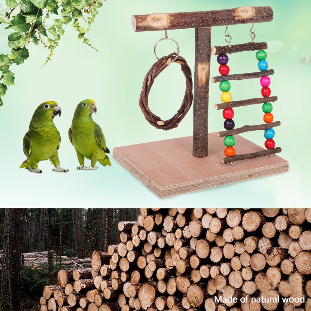 PUMYPOREITY Bird Tabletop Training Perch Play Stand, Parrot Natural Wood Stand Toy, Branch Perch Playground Gym for Parakeets Canaries Cockatiels Animals & Pet Supplies > Pet Supplies > Bird Supplies > Bird Gyms & Playstands PUMYPOREITY   