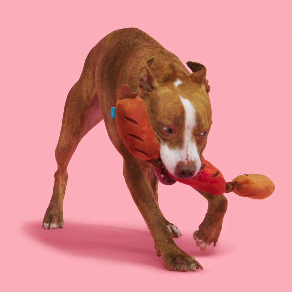 BARK Lickin' Links Dog Toy, Red with Brown - Barkfest in Bed Animals & Pet Supplies > Pet Supplies > Dog Supplies > Dog Toys BARK   