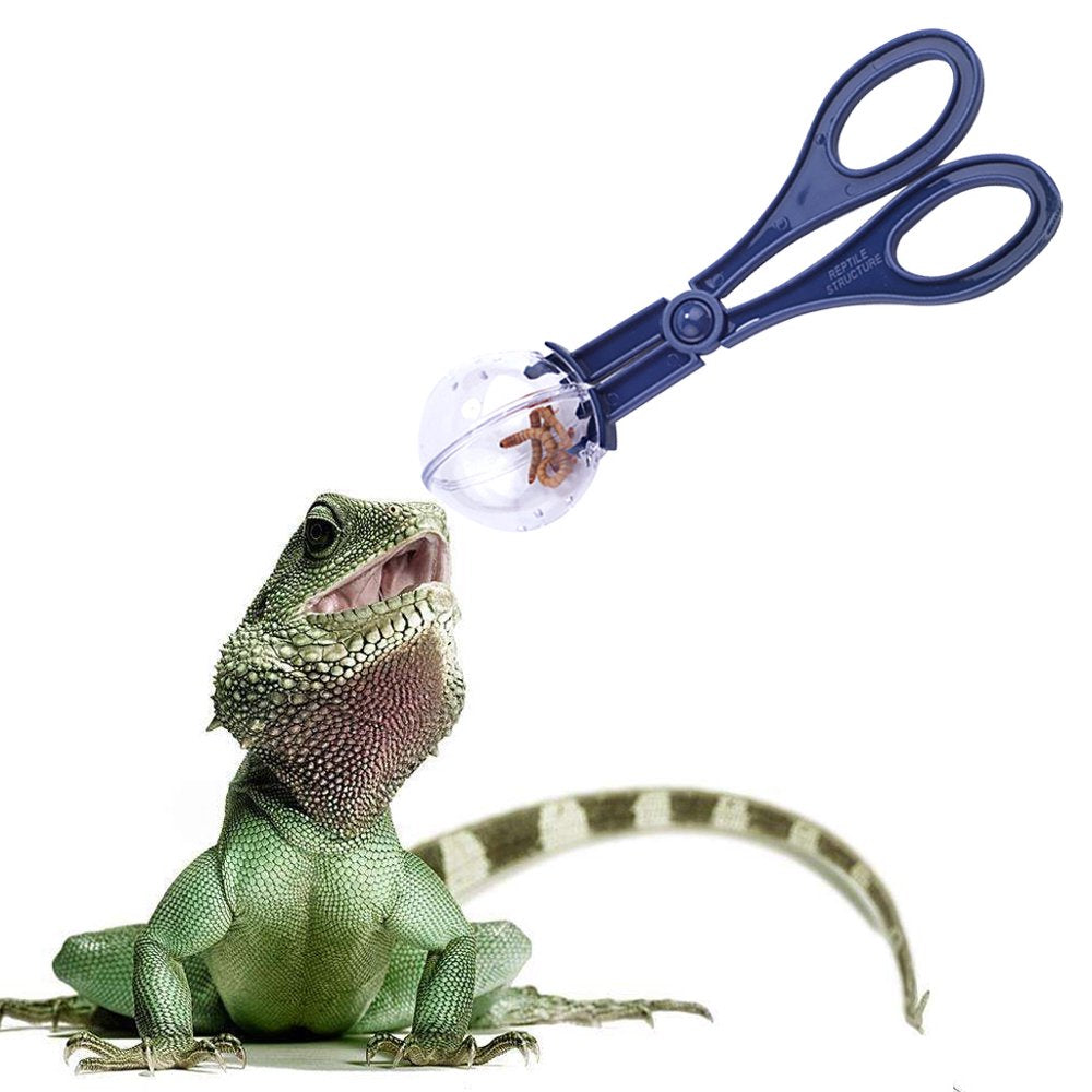 BYDOT Black Reptile Feeding Clamp Handy Scooper Insect Catch Clamp Reptiles Feeding and Cleaning Tool Reptile Poop Scoop Animals & Pet Supplies > Pet Supplies > Reptile & Amphibian Supplies > Reptile & Amphibian Food BYDOT   