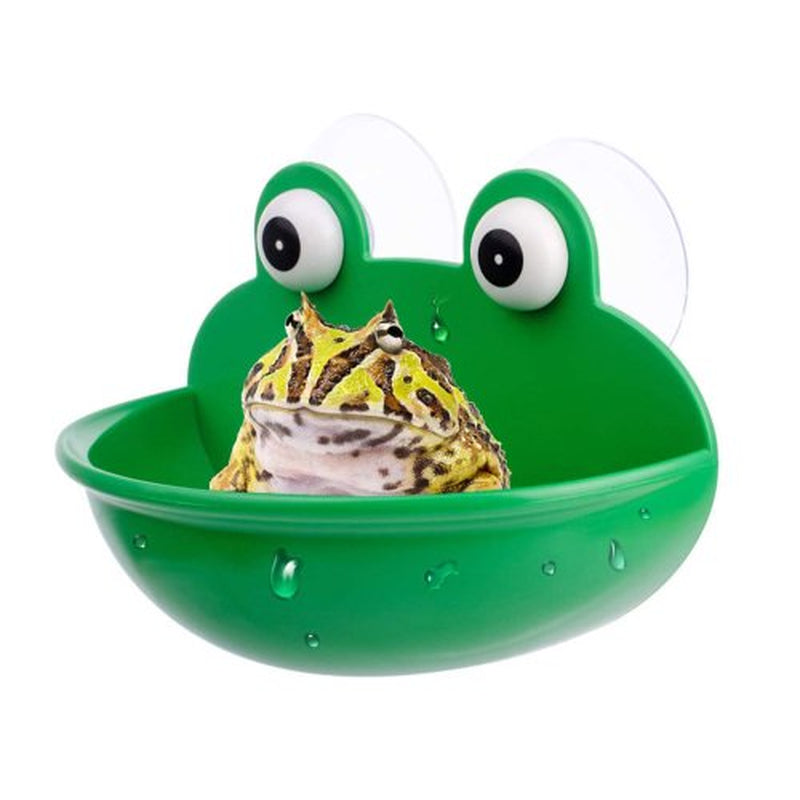 Cheers.Us Reptile Feeder with Suction Cup Pet Landscaping Plastic Frog Tortoise Amphibian Rest Living Container,Multifunctional, Easy Cleaning for Amphibian and Reptile Animals & Pet Supplies > Pet Supplies > Reptile & Amphibian Supplies > Reptile & Amphibian Food Cheers.US   