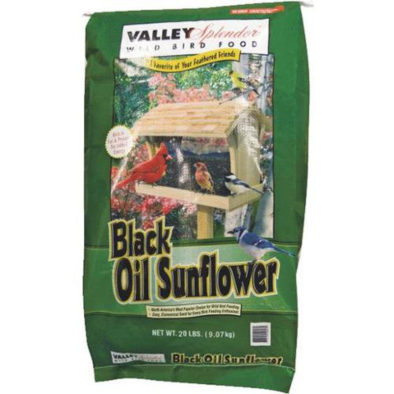 Valley Spendor 50058-D Red River Commodities Oil Sunflower Bird Food Animals & Pet Supplies > Pet Supplies > Bird Supplies > Bird Food VALLEY SPENDOR   