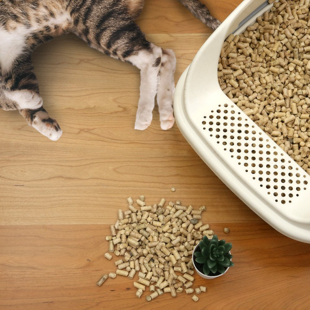 Casual Home Non-Clumping Cat Litter Wood Pellets, 100% Natural Pine Wood Animals & Pet Supplies > Pet Supplies > Cat Supplies > Cat Litter Casual Home   