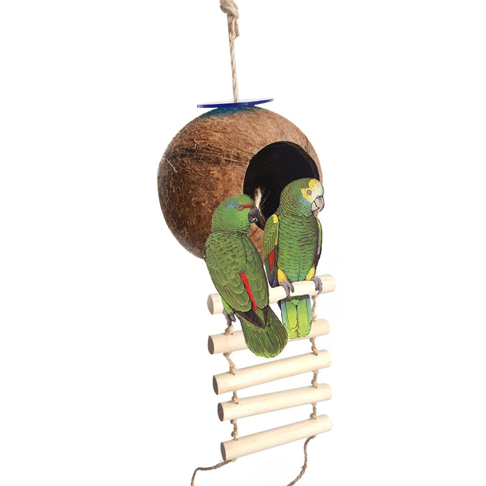 Manunclaims Hanging Coconut Bird House, Natural Coconut Fiber Shell Bird Nest for Parrot Parakeet Lovebird Finch Canary,Coconut Hide Bird Swing Toys for Hamster, Bird Cage Accessories Animals & Pet Supplies > Pet Supplies > Bird Supplies > Bird Cage Accessories Manunclaims   
