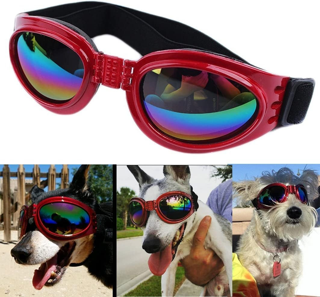 QUMY Dog Goggles Eye Wear Protection Waterproof Pet Sunglasses for Dogs about over 15 Lbs (Black) Animals & Pet Supplies > Pet Supplies > Dog Supplies > Dog Apparel DORA Red  