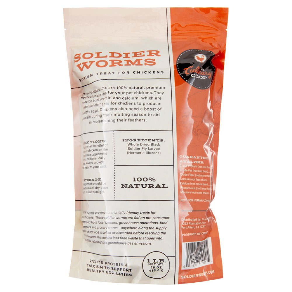 Culinary Coop Dried Soldierworm Treats for Chickens 16Oz Animals & Pet Supplies > Pet Supplies > Bird Supplies > Bird Treats Fluker's   