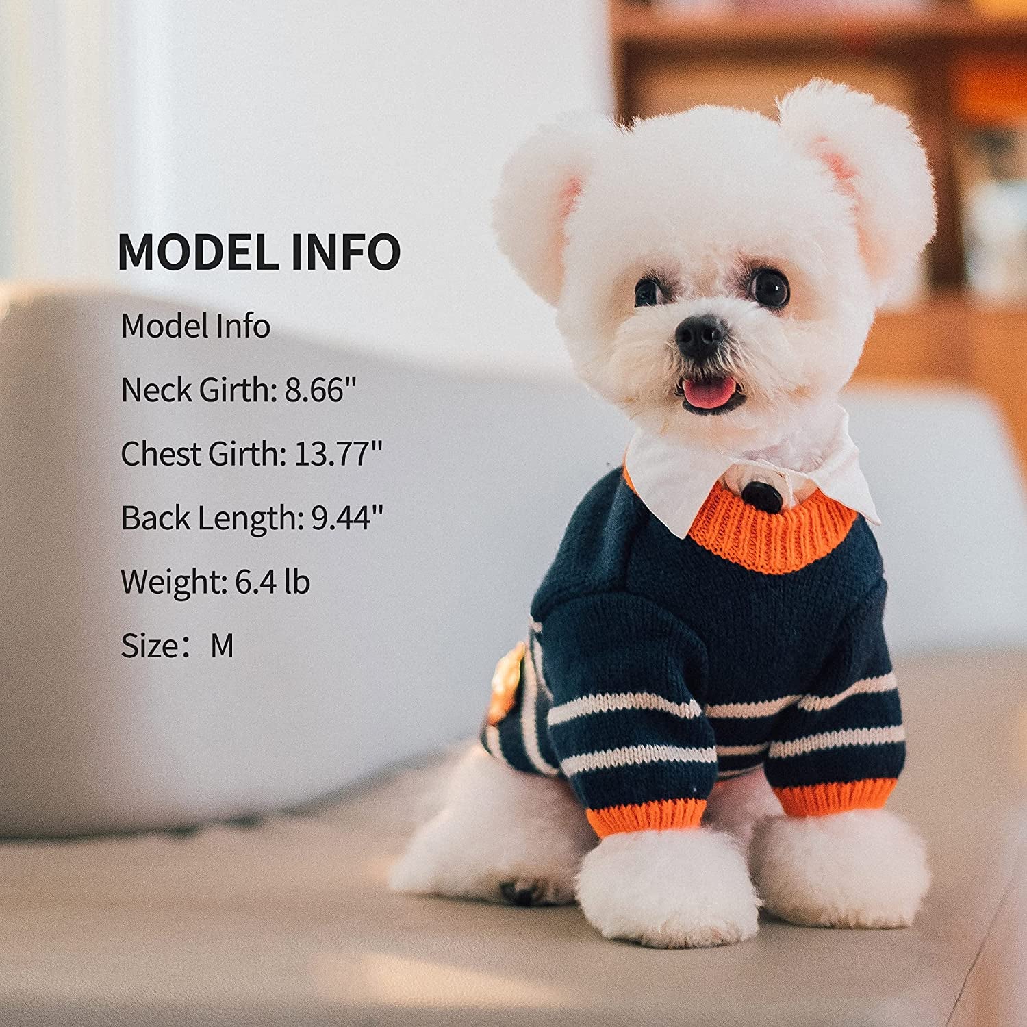 ISPET Small Dog Sweater, Patchwork Stripes Dog Sweatshirt Knitted Pet Winter Clothes Soft Thickening Cat Coat for Tiny Small Dogs, Navy Blue X-Large Animals & Pet Supplies > Pet Supplies > Dog Supplies > Dog Apparel IS PET DESIGNER PETWEAR   