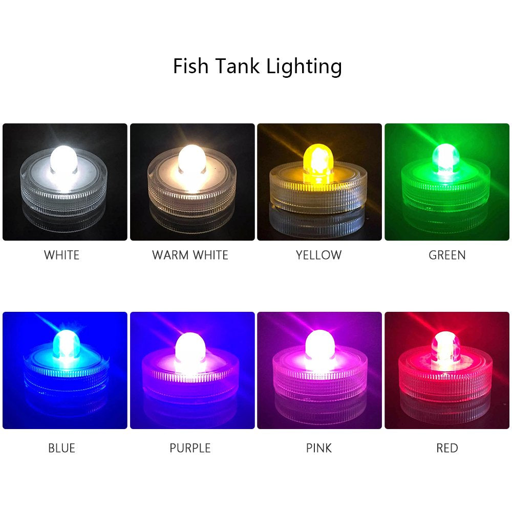 MABOTO Mini Fish Tanks Light Mini Reptile Row Box Lighting for Feeding & Decoration