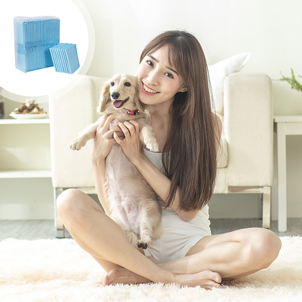 Puppy Potty Training Pet Pads Dog Diaper Disposable Super Absorbent and Leak-Free Pee Mat Quick Drying Cat Pee Pad Convenient Training Pet Mat for Dogs Cats Rabbits Pets Animals & Pet Supplies > Pet Supplies > Dog Supplies > Dog Diaper Pads & Liners Dog Pee Pad   