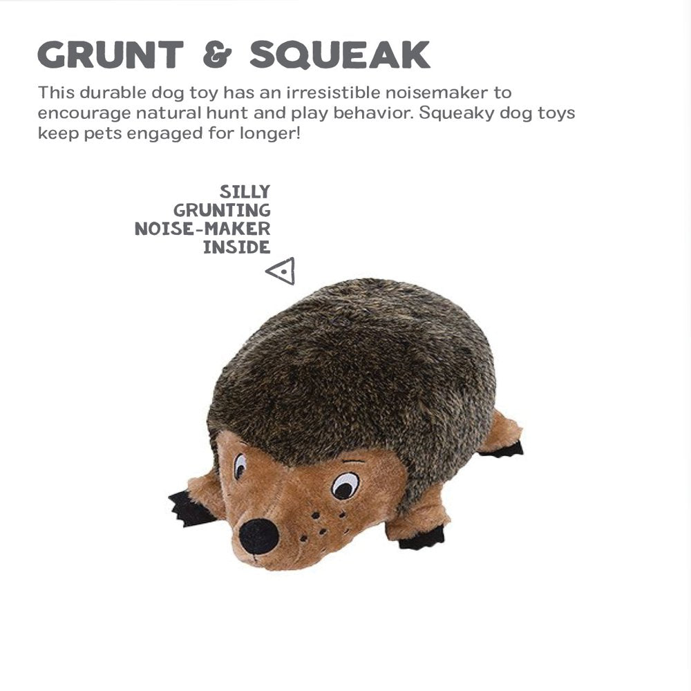 Outward Hound Hedgehogz Grunting Plush Dog Toy, Brown, Medium Animals & Pet Supplies > Pet Supplies > Dog Supplies > Dog Toys Outward Hound Holdings   