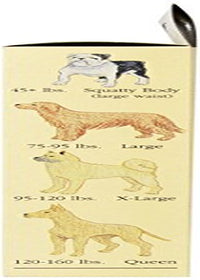 Seasonals 41108BRN Washable Female Dog Diaper&#44; Brown - Extra Small Animals & Pet Supplies > Pet Supplies > Dog Supplies > Dog Diaper Pads & Liners Seasonals   