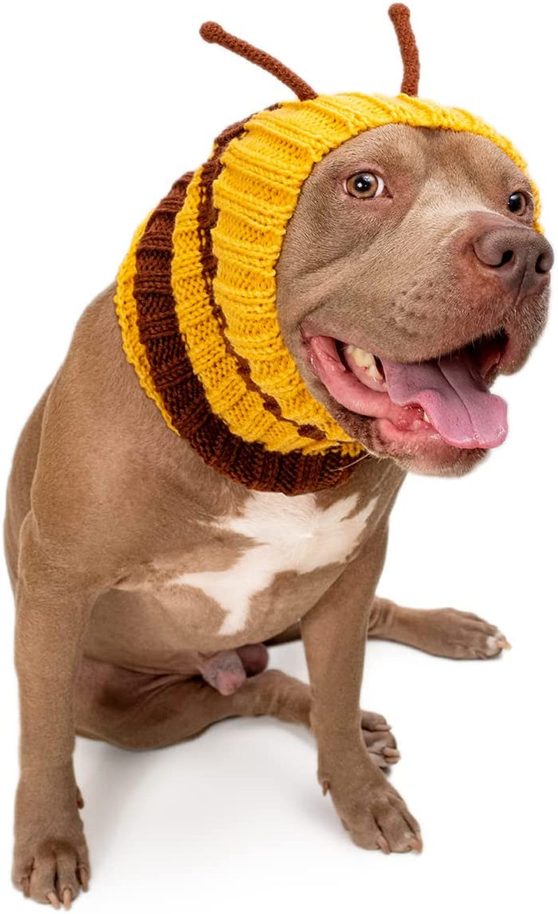 Zoo Snoods Bee Costume for Dogs, Medium - Warm No Flap Ear Wrap Hood for Pets, Bumble Bee Dog Outfit for Winters, Halloween, Christmas & New Year, Handmade Soft Yarn Ear Covers Animals & Pet Supplies > Pet Supplies > Dog Supplies > Dog Apparel Zoo Snoods Large  