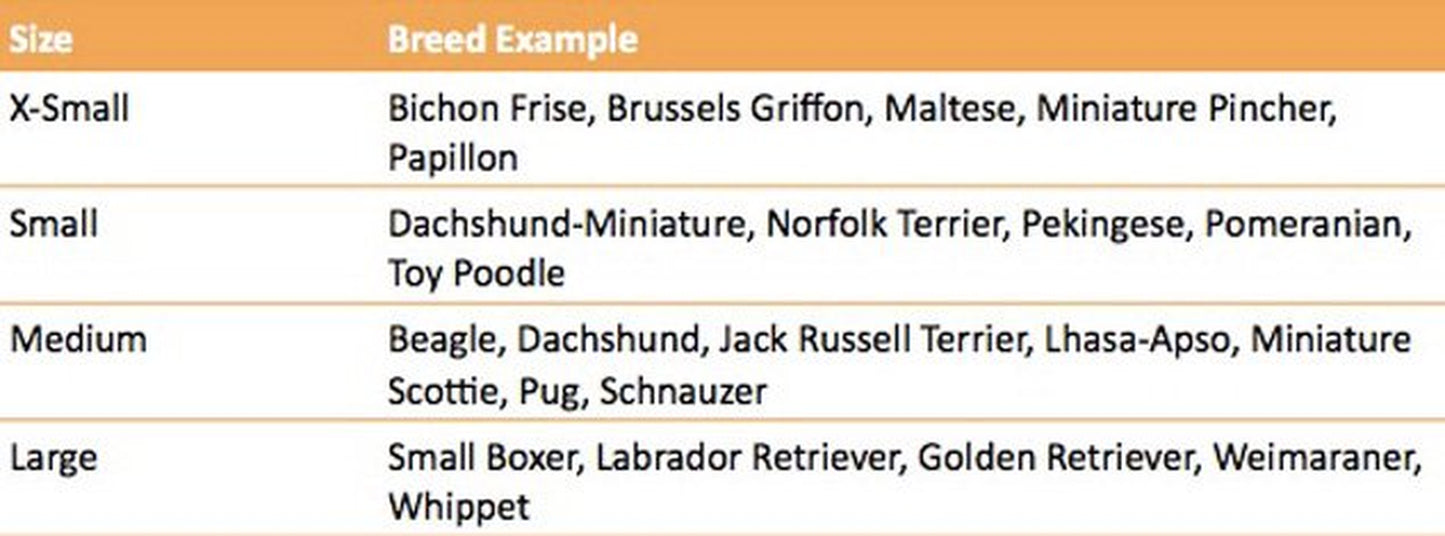 Hot Dog Dog Costume Xl Animals & Pet Supplies > Pet Supplies > Dog Supplies > Dog Apparel Rasta Imposta   