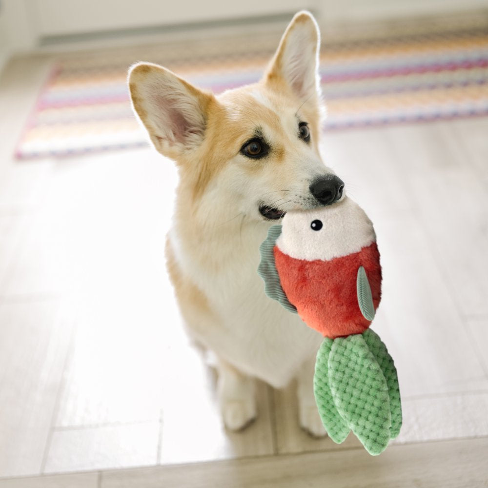 Vibrant Life Safe & Stimulating Cozy Buddy Goldfish Dog Toy - GRS Cert –  KOL PET