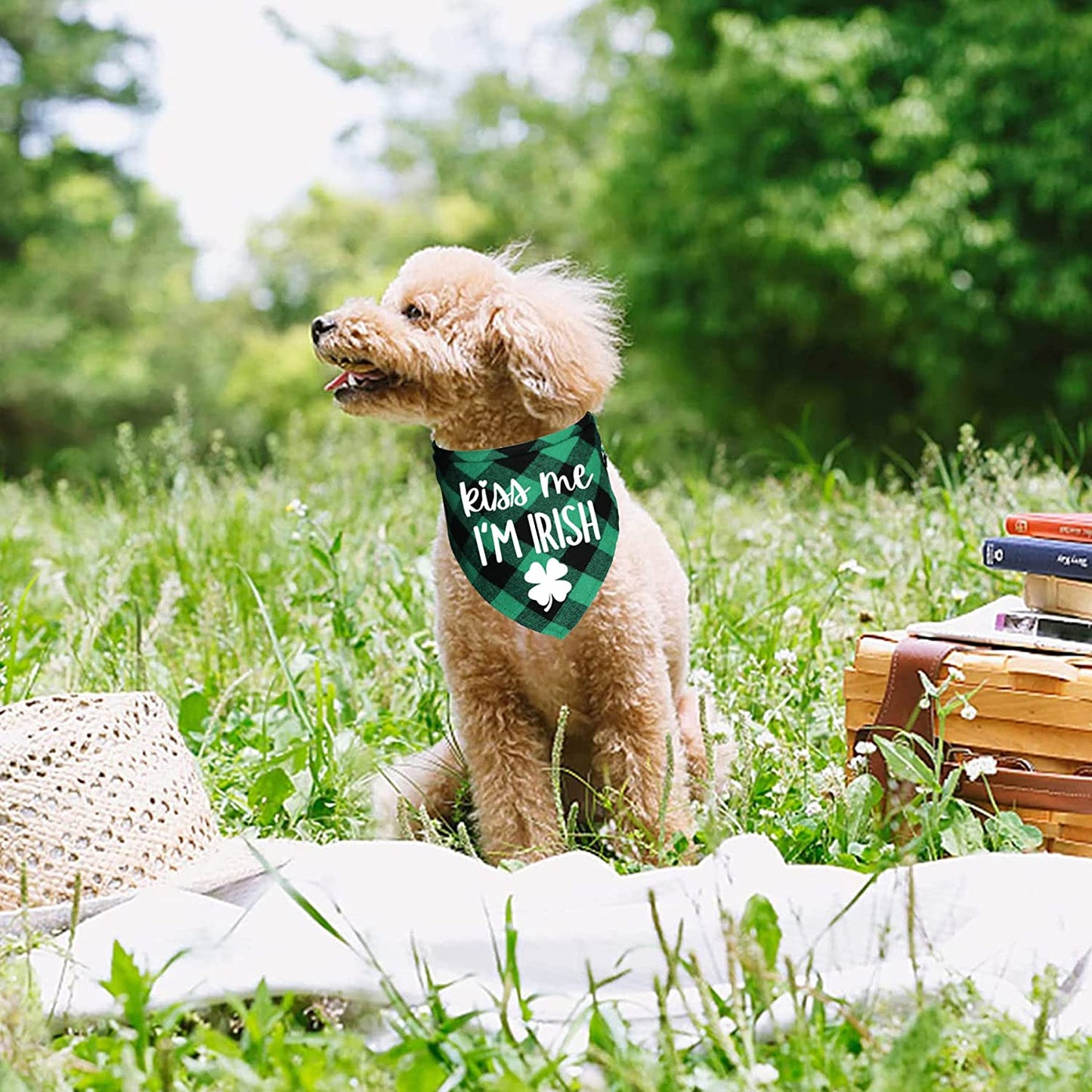 JOTFA St. Patrick’S Day Dog Bandanas, Plaid Dog Puppy St. Patrick’S Day Bandana Scarf for Small Medium Large Dogs Pets (Mom’S Lucky Charm & Kiss Me I’M Irish) Animals & Pet Supplies > Pet Supplies > Dog Supplies > Dog Apparel JOTFA   