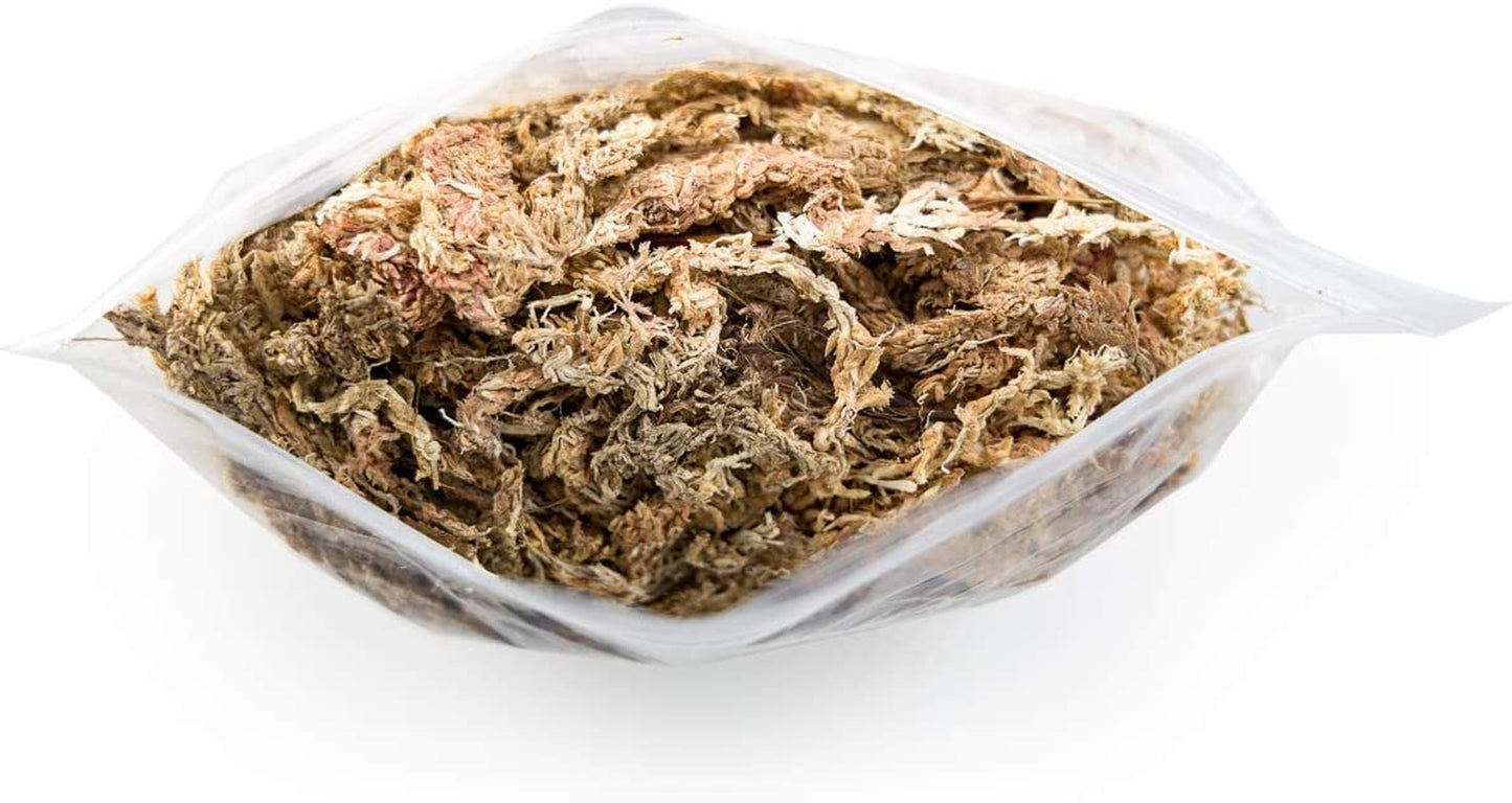 Josh'S Frogs Chilean Sphagnum Moss (100G Bag) Animals & Pet Supplies > Pet Supplies > Reptile & Amphibian Supplies > Reptile & Amphibian Substrates Josh's Frogs   