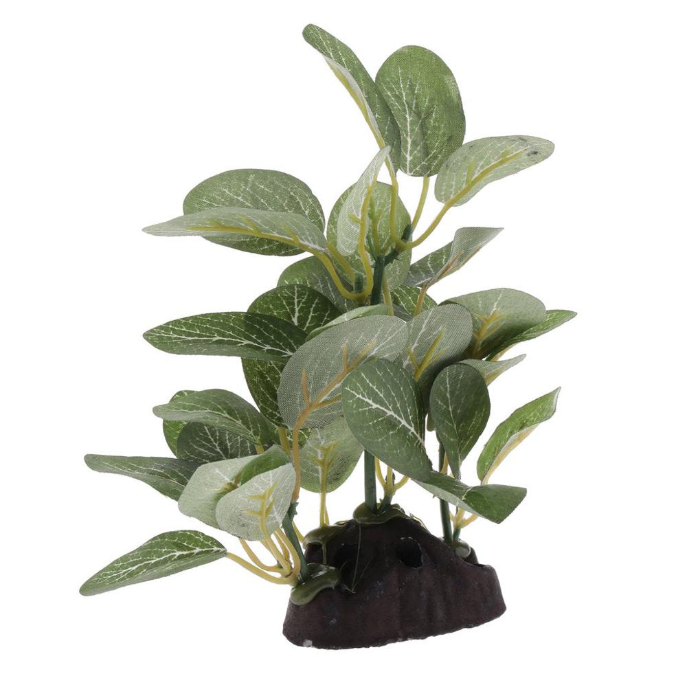 Terrarium Plant Bearded ,Lizards,Geckos, Reptile Habitat Type 2 Animals & Pet Supplies > Pet Supplies > Small Animal Supplies > Small Animal Habitat Accessories Gazechimp   