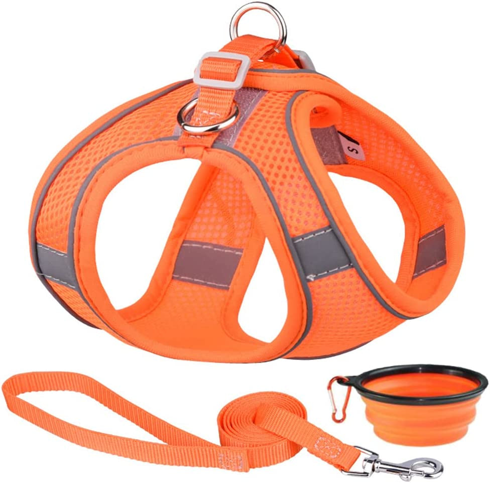 Dog Harness and Leash Set Reflective Pet Puppy Vest Harnesses Adjustable Step in Soft Mesh for Medium Girl Boy Cats Kitten Orange Animals & Pet Supplies > Pet Supplies > Dog Supplies > Dog Apparel Weimostar Orange XS 