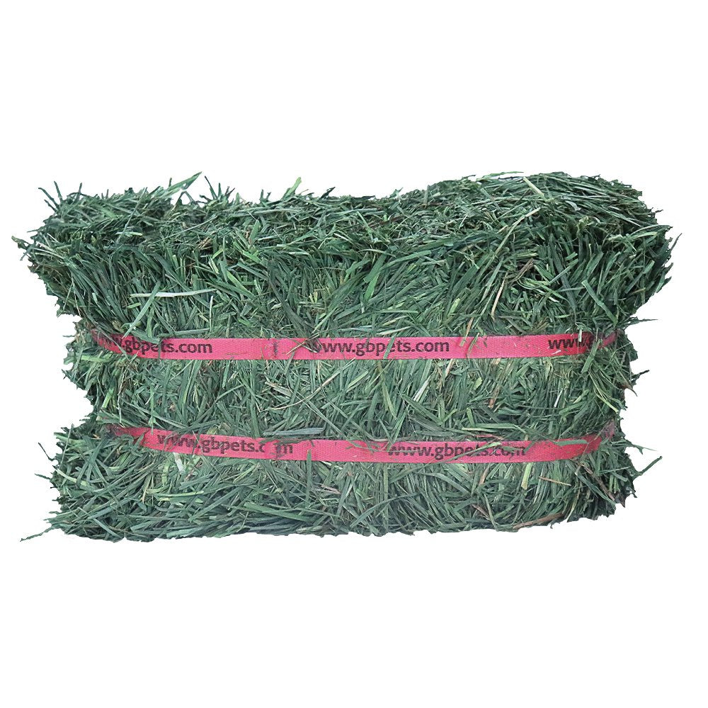 Grandpa'S Best Orchard Grass Hay Mini Bale for Small Animals - 5Lb Animals & Pet Supplies > Pet Supplies > Small Animal Supplies > Small Animal Food Grandpa's Best LLC   