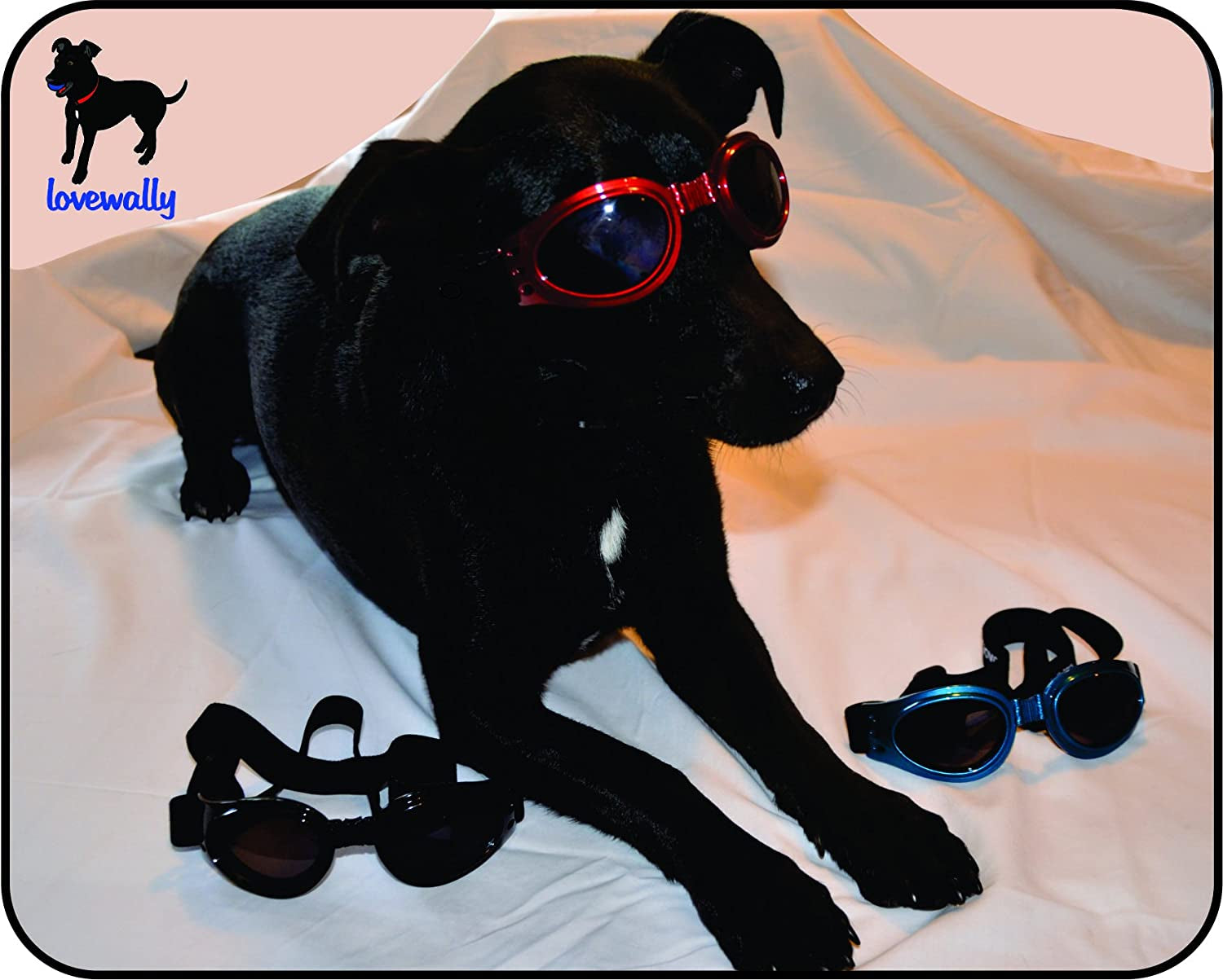 Lovewally Dog Goggles Red Sunglasses Shatterproof and 100& UV Protection Animals & Pet Supplies > Pet Supplies > Dog Supplies > Dog Apparel LoveWally   