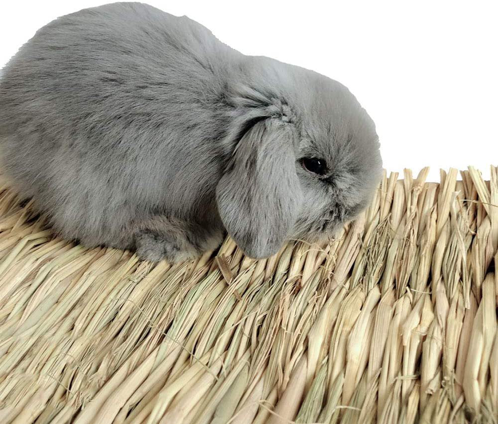 Grass Mat Woven Bed Mat for Small Animal Bunny Bedding Nest Chew Toy Bed Play Toy for Guinea Pig Parrot Rabbit Bunny Hamster Rat(Pack of 3) (3 Grass Mats) Animals & Pet Supplies > Pet Supplies > Small Animal Supplies > Small Animal Bedding Miruku   