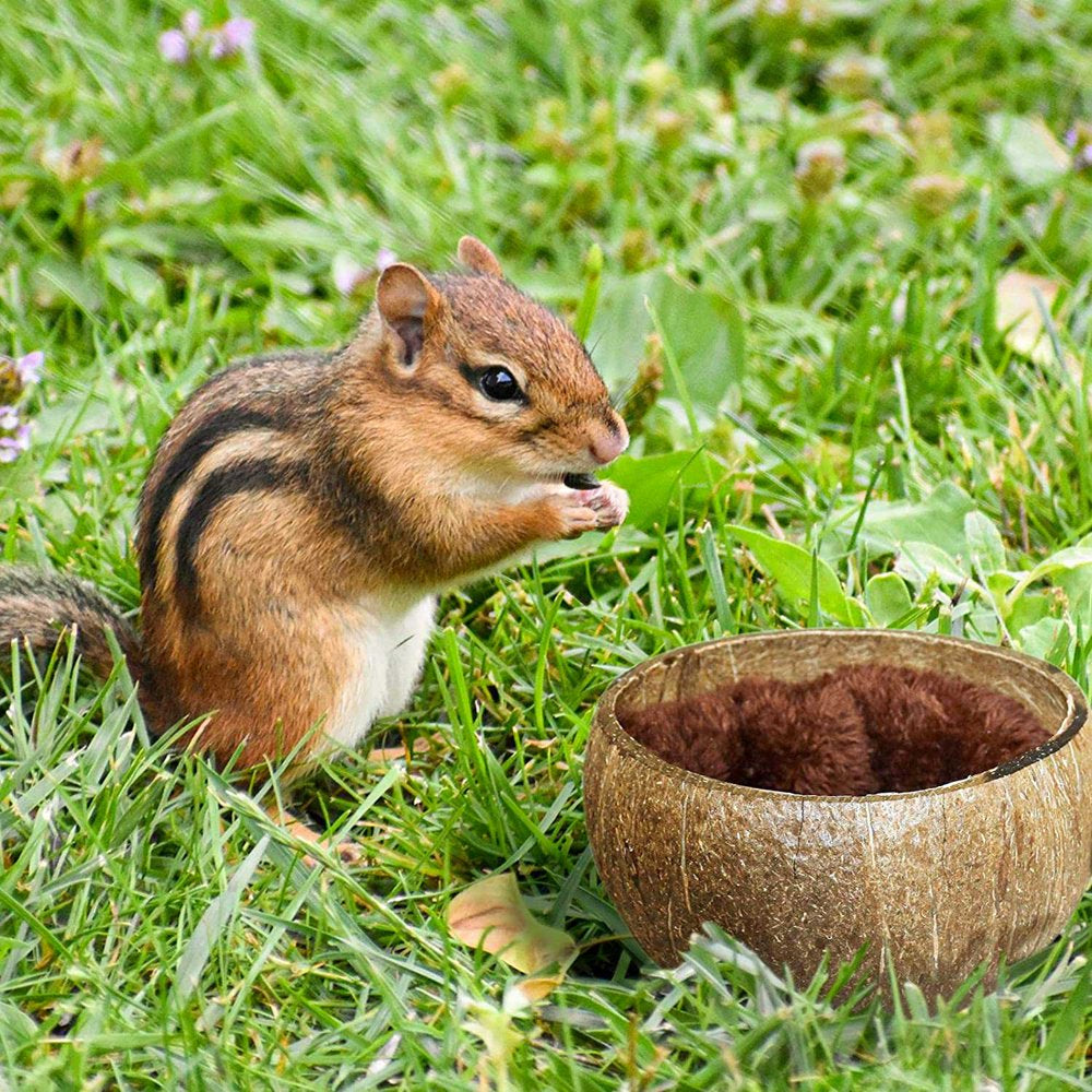 Deoxygene Small Animals Coconut Shell Feeder,Rabbit Feeding Bowls Bird Coconut Breeding Nest House Hut Cage Bed for Rabbit Animals & Pet Supplies > Pet Supplies > Small Animal Supplies > Small Animal Bedding 500166901   